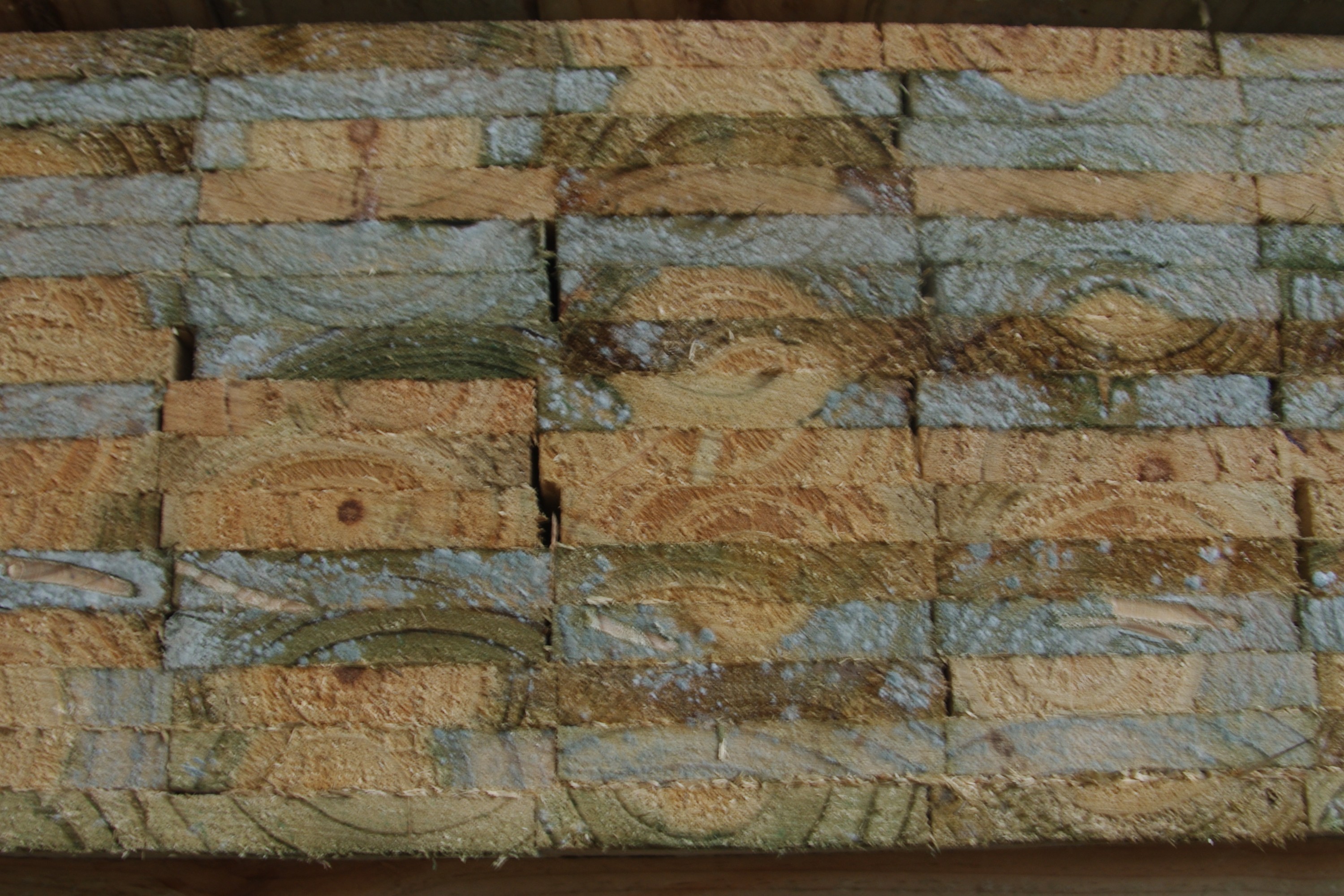 Treated timber and quality-control work